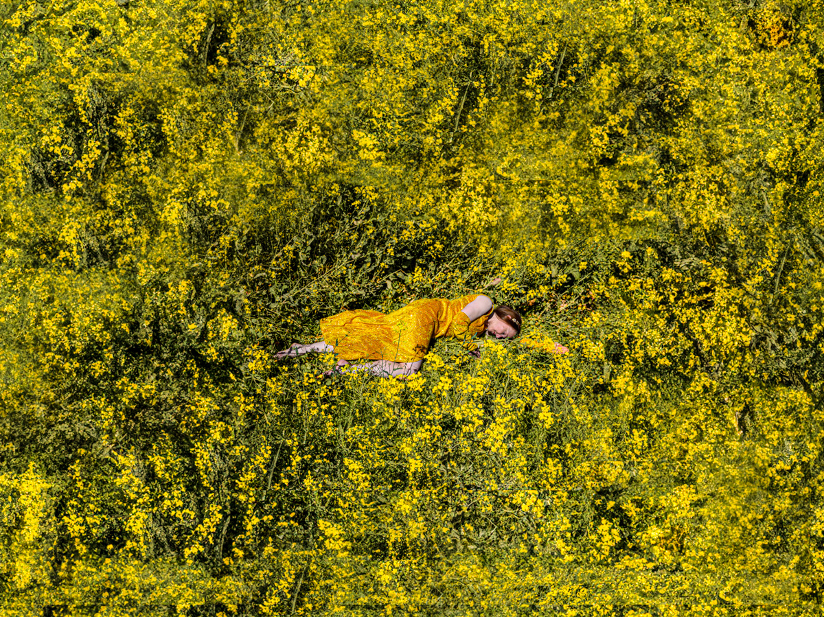 Yellow-5